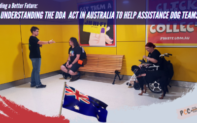 Ensuring Inclusivity: Understanding Australia’s Disability Discrimination Act