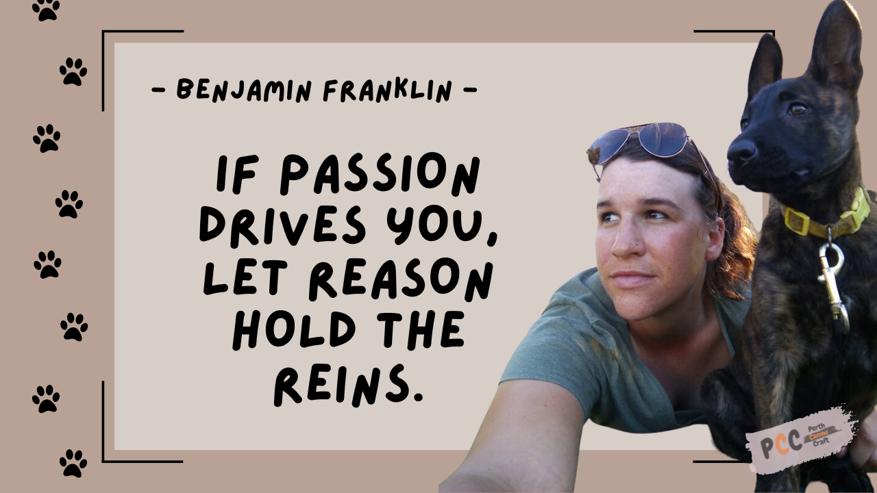 - Benjamin Franklin - If passion drives you, let reason hold the reins.