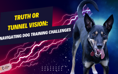 The Challenge of Closed Minds in Dog Training: Embracing the Path to Truth