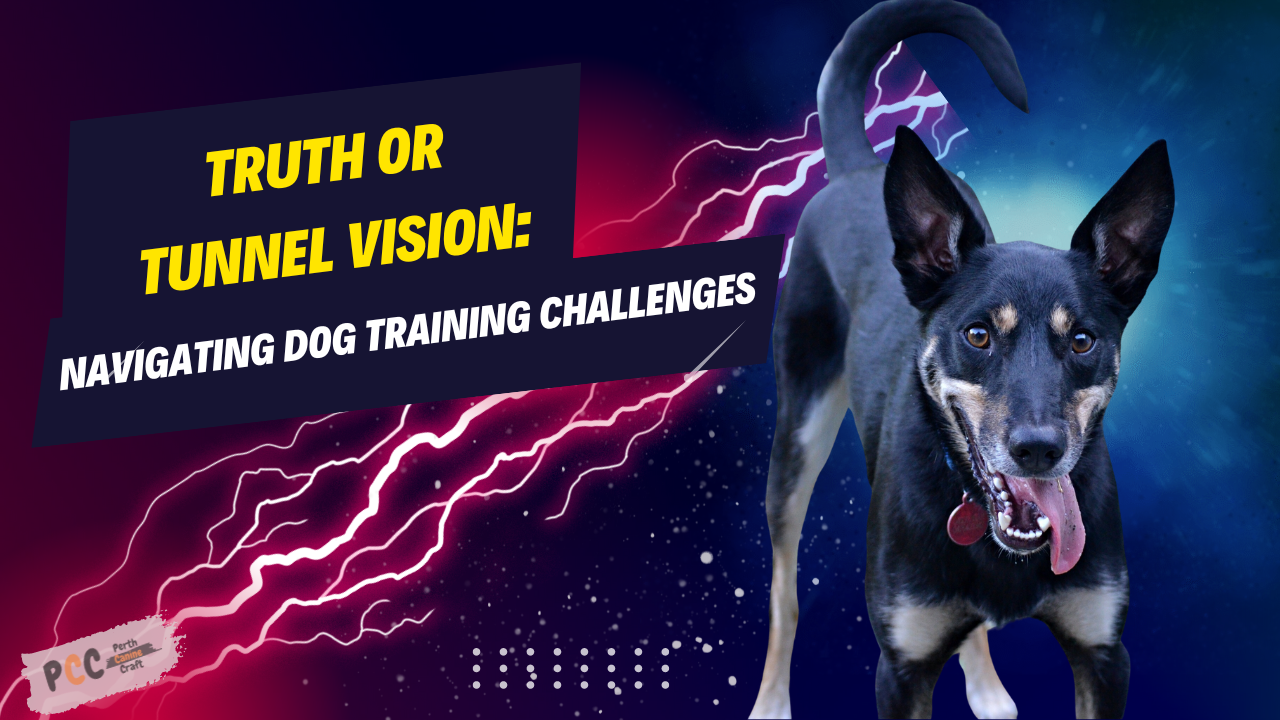 Truth or Tunnel Vision: Navigating Dog Training Challenges