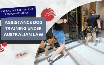 Navigating Assistance Dog Training Rights Under Australia’s Disability Discrimination Act