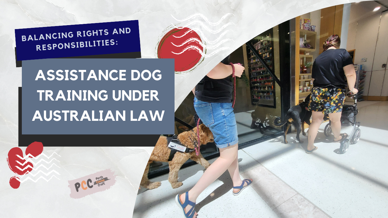 Balancing Rights and Responsibilities: Assistance Dog Training Under Australian Law
