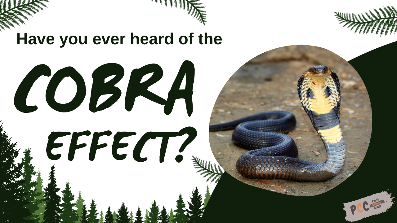 The cobra effect