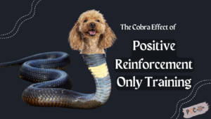 The cobra effect of positive reinforcement only training