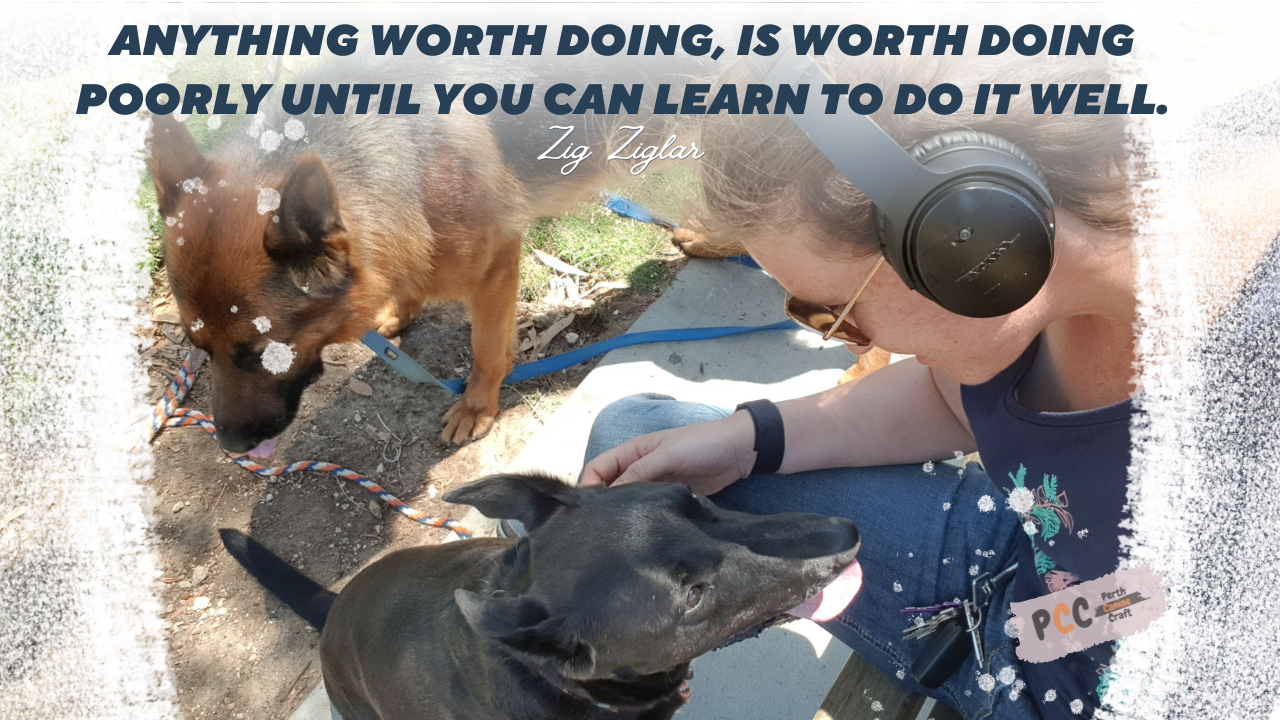 Anything worth doing, is worth doing poorly until you can learn to do it well - Zig Ziglar