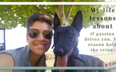 Navigating Dog Training: Fostering Growth Through the Balance of Passion and Reason