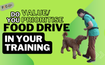 Embracing Food Drive: A Trainer’s Perspective