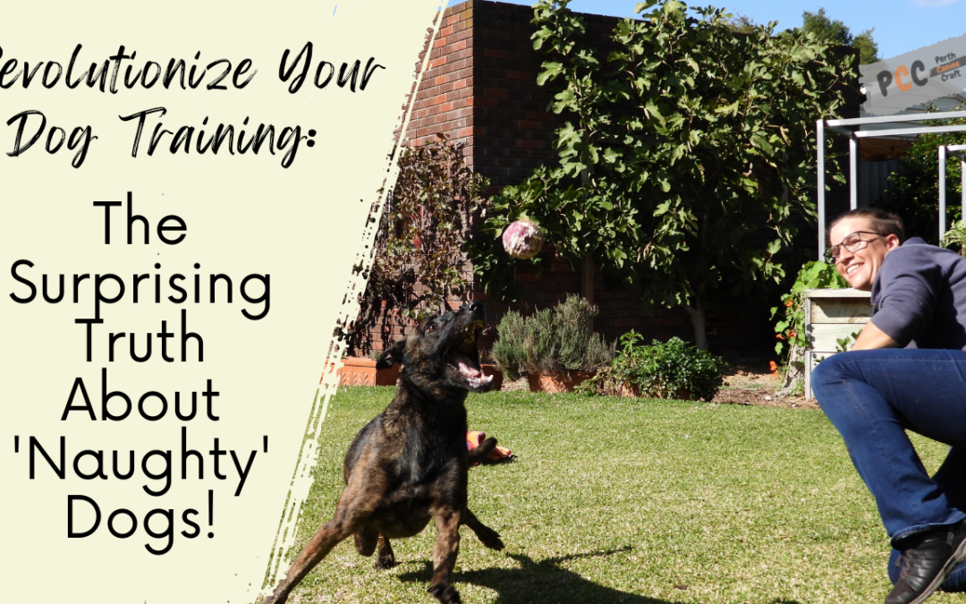 Revolutionize Your Dog Training: The Surprising Truth About ‘Naughty’ Dogs!