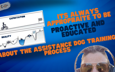 Being proactive and educated about potentially getting an Assistance Dog – A Comprehensive Guide