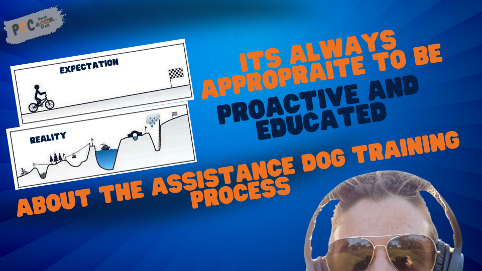 Being proactive and educated about potentially getting an Assistance Dog – A Comprehensive Guide