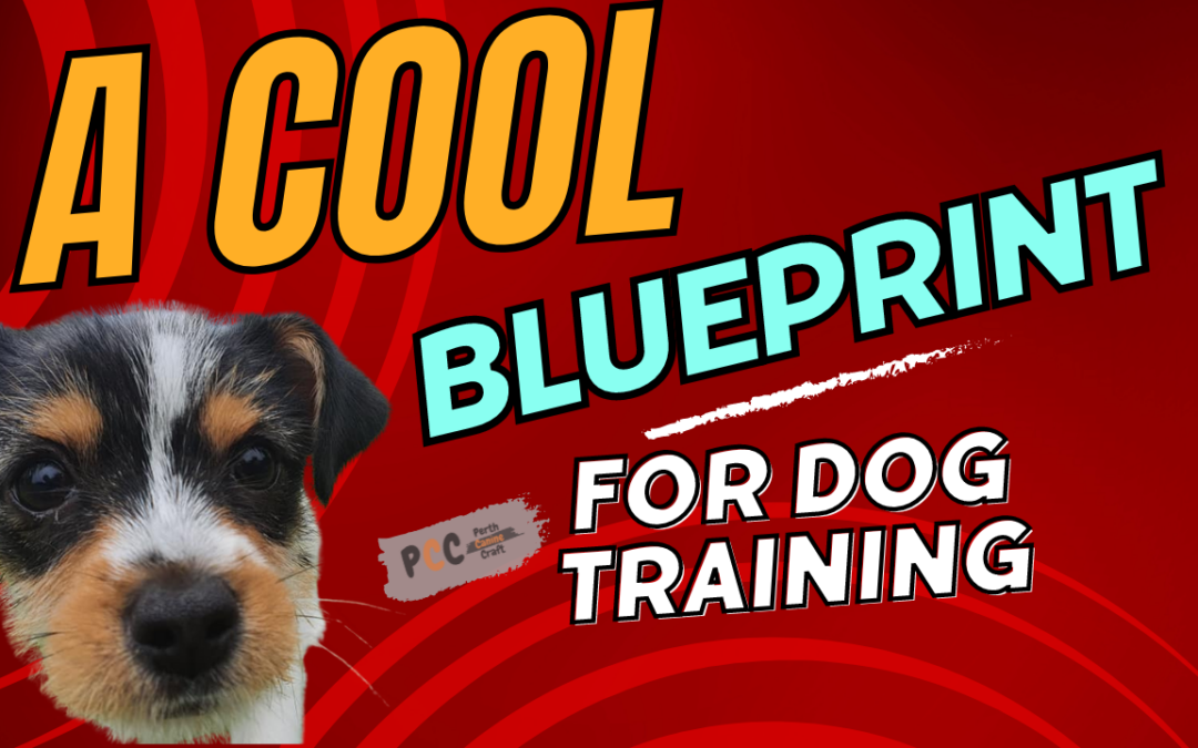 A Blueprint for Dog Training: Polyvagal Theory and the Layered Stress Model