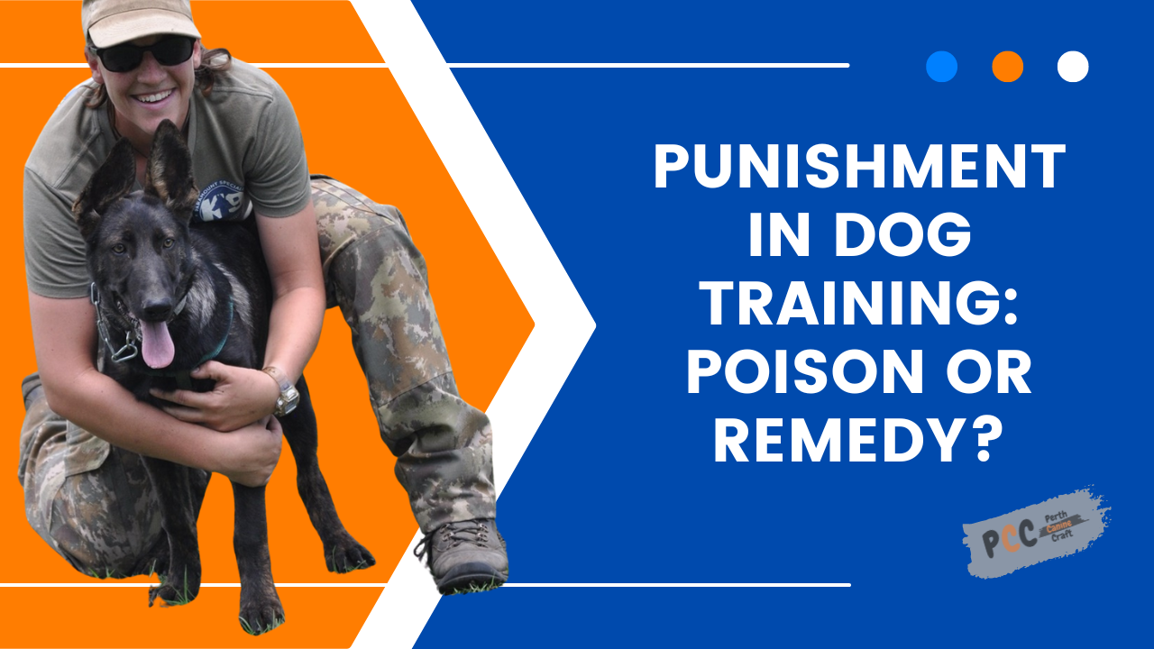 Punishment in Dog Training: Poison or Remedy?