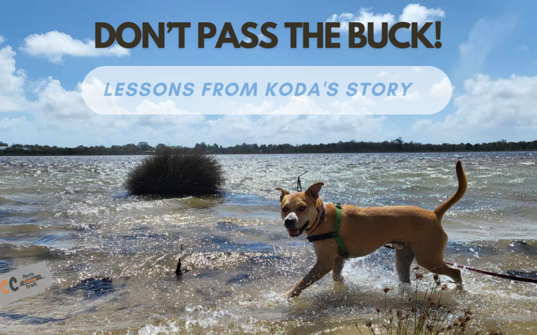 Don’t pass the buck!