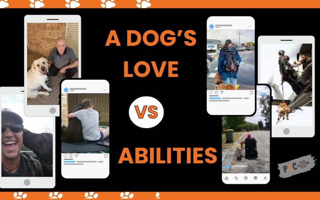 A Dog’s Love is Limitless, But Its Abilities Are Not