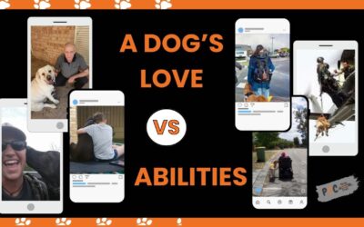 A Dog’s Love is Limitless, But Its Abilities Are Not