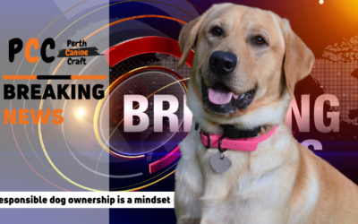 Responsible dog ownership is a mindset