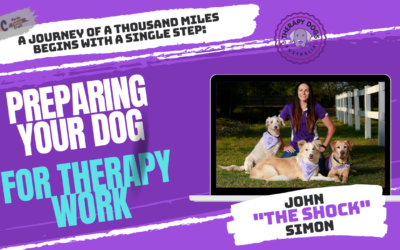 A Journey of a Thousand Miles Begins with a Single Step: Preparing Your Dog for Therapy Work