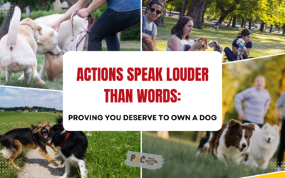 Should Dog Owners Have to Prove They Deserve a Dog?
