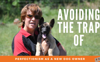 Avoiding the Trap of Perfectionism as a New Dog Owner