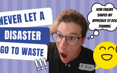 Never Let a Disaster Go to Waste: How Failure Shaped My Approach to Dog Training