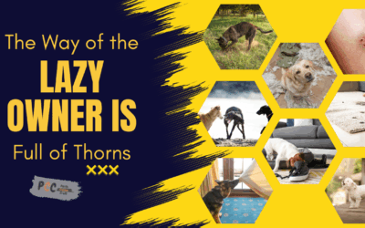 The Way of the Lazy Owner Is Full of Thorns