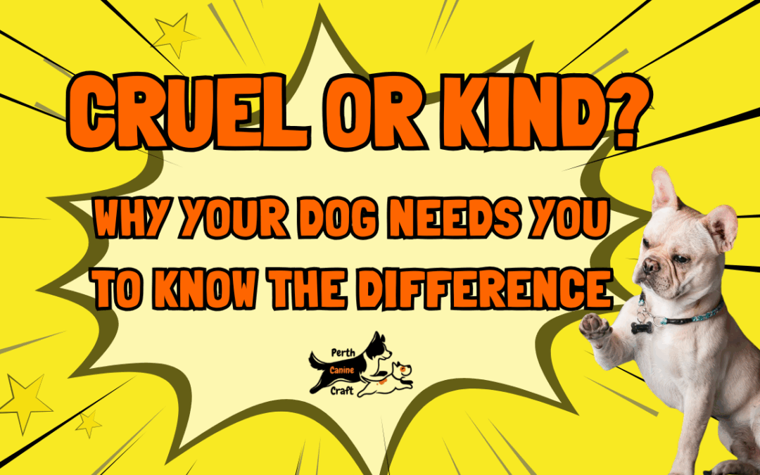 Why Your Dog Needs You to Know the Difference between cruelty and kindness