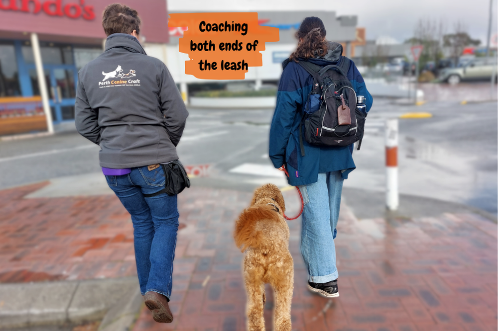 PCC Coaching both ends of the leash
